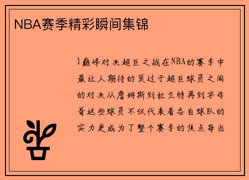 NBA赛季精彩瞬间集锦