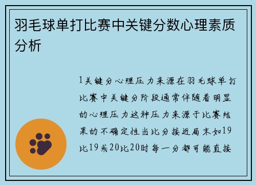 羽毛球单打比赛中关键分数心理素质分析